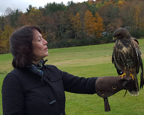 redpoint principal vickie holds falcon