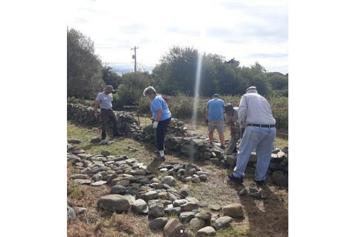 Five people standing around piles of rocks, some of which are half-formed into a stone fence.