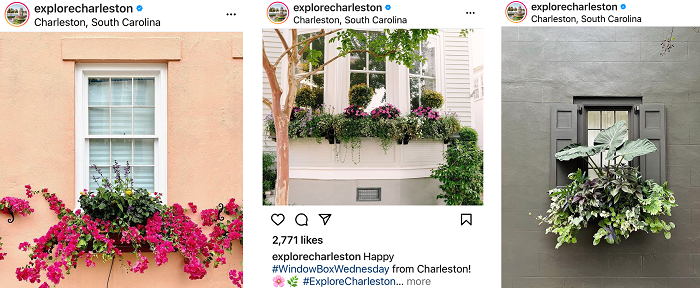 Three images of Charleston South Carolina showing colorful, flower-filled window boxes outside homes.