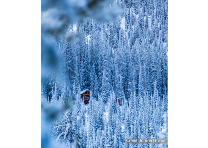A brown cabin sits amidst a white snow-covered forest, as an example of what makes a dramatic tourism photo.