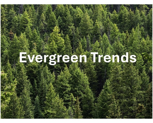 An image of a forest of evergreen trees with the text overlay "Evergreen Trends," which shows how to overcome one of the five common mistakes in presentation design.