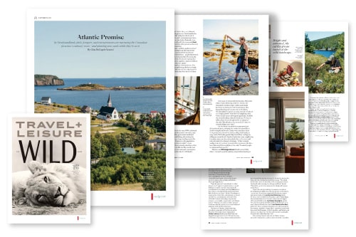 From the "stories we're loving" files.